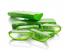 Aloe vera leafs
